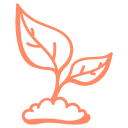 Illustration d'une plante qui pousse